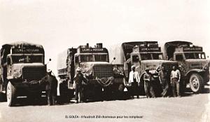 El Golea - Il faudrait 250 chameaux pour les remplacer